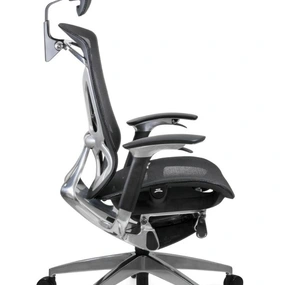 Эргономичное кресло GT Chair Dvary DV-10E GT-12