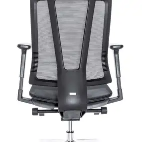 Эргономичное кресло Falto G1 Air (3 уровня поясницы, сетка, чёрный)