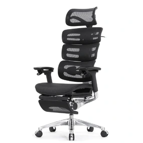 Эргономичное кресло Falto Evolution с подножкой (тихие вставки, управление на подлокотниках, сетка, чёрный)