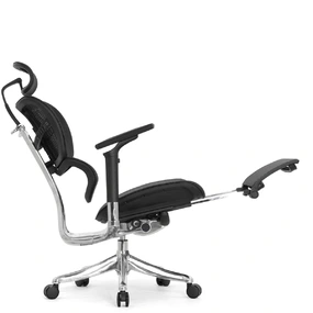 Анатомическое кресло Falto Fly 2 с подножкой (динамичный подголовник, подлокотники 6D (360), сетка, чёрный)