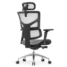 Эргономичное кресло Falto Sail Art 2 (подлокотники 6D (360), сетка, каркас чёрный, белый)