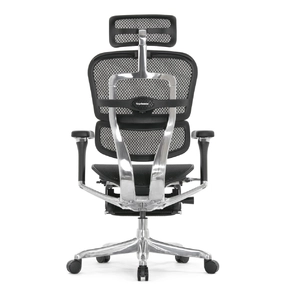 Эргономичное кресло Falto Ergohuman 2 Luxury с подножкой (SmartWork, алюминий, наклон вперёд, сетка, чёрный)
