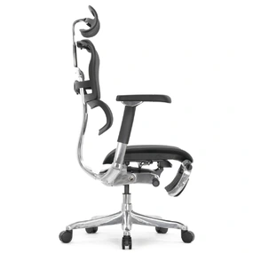 Эргономичное кресло Falto Ergohuman 2 Luxury с подножкой (SmartWork, алюминий, наклон вперёд, сетка, чёрный)