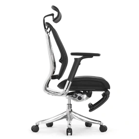 Эргономичное кресло Falto Spring 2 с подножкой (поясничный валик, подлокотники 6D (360), сетка, чёрный)