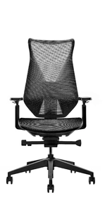 Эргономичное кресло Warrior, чёрный