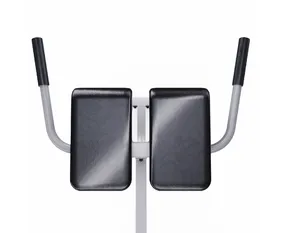 Гиперэкстензия/Римский стул DFC CAP, серебряный